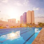 Golden Dolphin Express Oficial